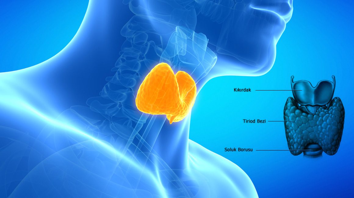 Tiroit Bezi Görseli